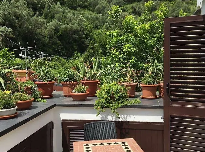 Affittacamere Alfrantoio